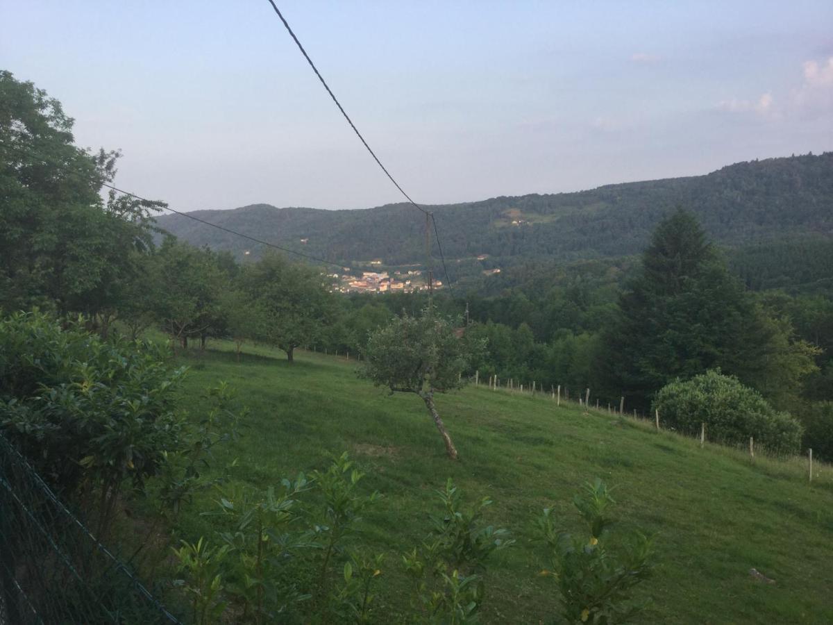 La Ferme De La-Haut B&B Le Haut-du-Them ภายนอก รูปภาพ